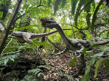 御菓子御殿　名護店　やんばる亜熱帯の森DINO恐竜PARKに投稿された画像（2022/5/1）