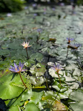 神戸どうぶつ王国に投稿された画像（2022/5/1）