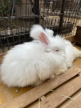 神戸どうぶつ王国に投稿された画像（2022/5/1）