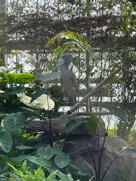 神戸どうぶつ王国に投稿された画像（2022/5/1）