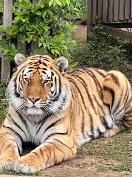 天王寺動物園に投稿された画像（2022/5/1）