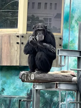 天王寺動物園に投稿された画像（2022/5/1）