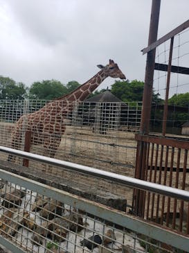 東武動物公園に投稿された画像（2022/5/1）