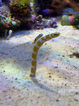 名古屋港水族館に投稿された画像（2022/5/1）