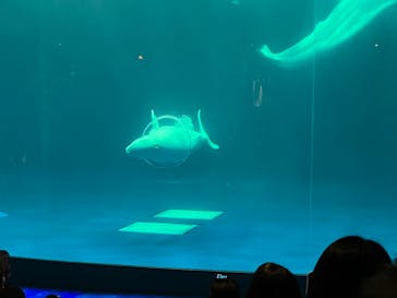 島根県立 しまね海洋館に投稿された画像（2022/5/1）