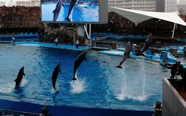 名古屋港水族館に投稿された画像（2022/5/1）