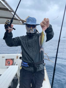 沖縄海うさぎ・海あしびに投稿された画像（2022/5/1）