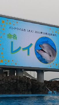 名古屋港水族館に投稿された画像（2022/5/1）