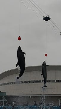 名古屋港水族館に投稿された画像（2022/5/1）