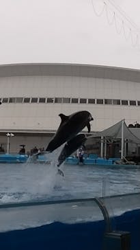 名古屋港水族館に投稿された画像（2022/5/1）