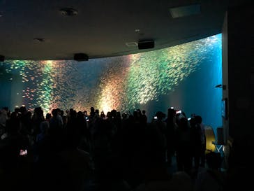 名古屋港水族館に投稿された画像（2022/5/1）