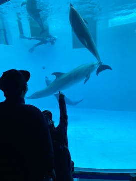 名古屋港水族館に投稿された画像（2022/5/1）