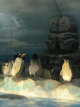 名古屋港水族館に投稿された画像（2022/5/1）