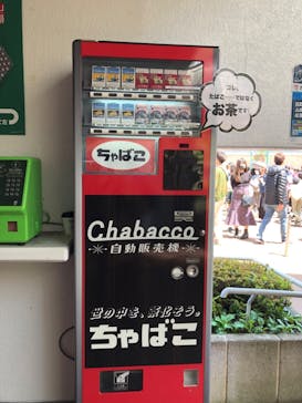 西武園ゆうえんちに投稿された画像（2022/5/1）