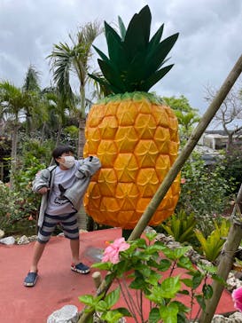 ナゴパイナップルパークに投稿された画像（2022/5/1）