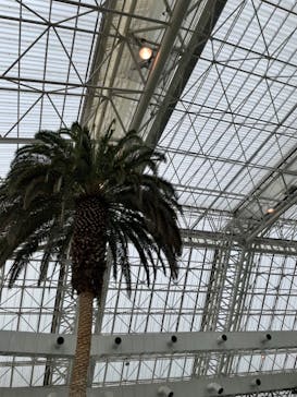 東京サマーランドに投稿された画像（2022/5/1）