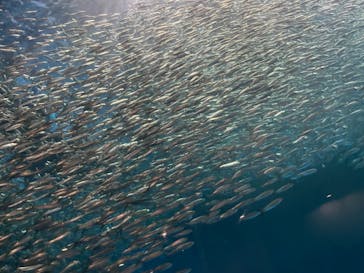 名古屋港水族館に投稿された画像（2022/5/1）