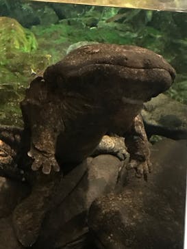 京都水族館に投稿された画像（2022/5/1）