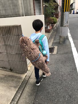 京都水族館に投稿された画像（2022/5/1）