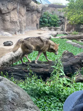 神戸どうぶつ王国に投稿された画像（2022/5/1）
