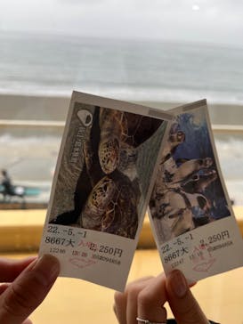新江ノ島水族館に投稿された画像（2022/5/1）