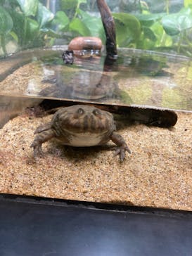 サンシャイン水族館に投稿された画像（2022/5/1）