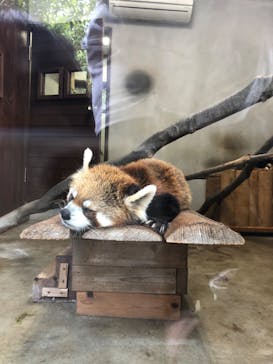 長崎バイオパークに投稿された画像（2022/5/1）