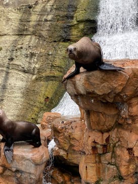 城崎マリンワールドに投稿された画像（2022/5/1）