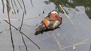 神戸どうぶつ王国に投稿された画像（2022/5/1）