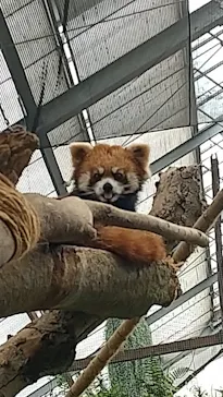 神戸どうぶつ王国に投稿された画像（2022/5/1）