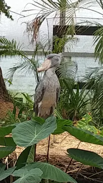 神戸どうぶつ王国に投稿された画像（2022/5/1）