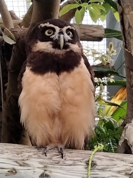 伊豆シャボテン動物公園に投稿された画像（2022/5/1）