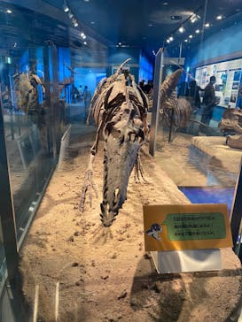 名古屋港水族館に投稿された画像（2022/5/1）