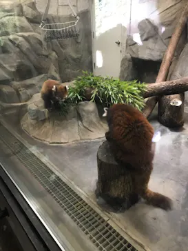 天王寺動物園に投稿された画像（2022/5/1）