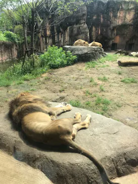 天王寺動物園に投稿された画像（2022/5/1）