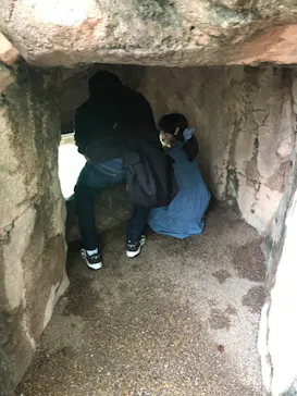 天王寺動物園に投稿された画像（2022/5/1）