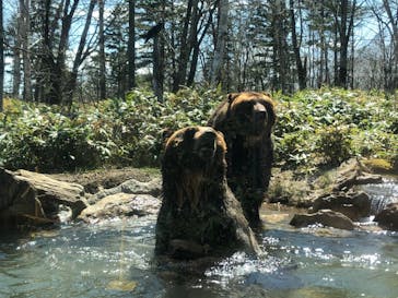 サホロリゾート　ベア･マウンテンに投稿された画像（2022/5/1）