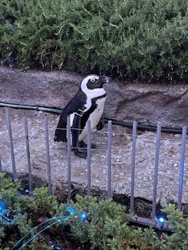 サンシャイン水族館に投稿された画像（2022/5/1）