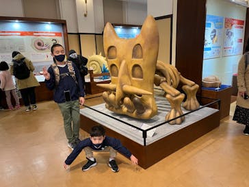 国立科学博物館　特別企画展「ポケモン化石博物館」に投稿された画像（2022/5/1）