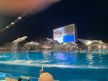 名古屋港水族館に投稿された画像（2022/5/1）
