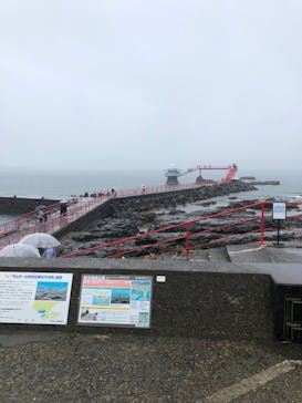 串本海中公園水族館に投稿された画像（2022/5/1）