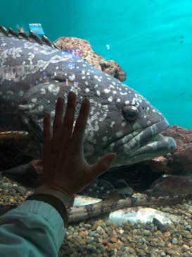 串本海中公園水族館に投稿された画像（2022/5/1）