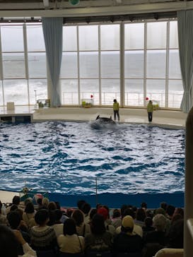 アクアワールド茨城県大洗水族館に投稿された画像（2022/5/1）