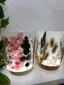 ずこうしつ〜sugamo〜に投稿された画像（2022/5/1）