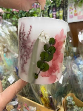 ずこうしつ〜sugamo〜に投稿された画像（2022/5/1）