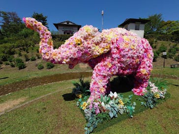 野外民族博物館 リトルワールドに投稿された画像（2022/5/1）