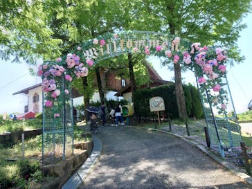 野外民族博物館 リトルワールドに投稿された画像（2022/5/1）