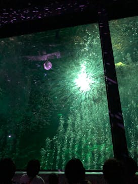 マリンワールド海の中道に投稿された画像（2022/5/1）