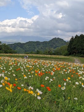 とっとり花回廊に投稿された画像（2022/5/1）