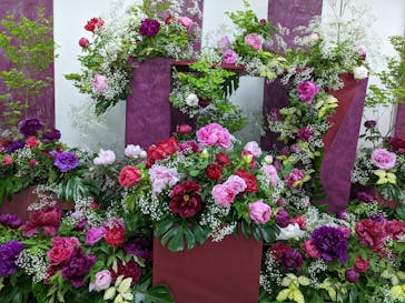 とっとり花回廊に投稿された画像（2022/5/1）